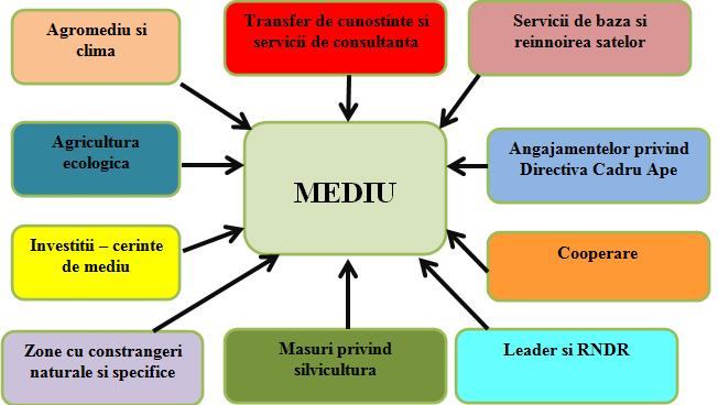 Protecția mediului și riscurile naturale - înființarea și modernizarea fermelor cu respectarea cerinţelor directivei poluării cu nitraţi.