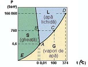 Conductivitatea (λ), la 293,15 K (20 0 C) Ω 1 cm 1 4 10 8 - Momentul electric (μ) D 1,85 - Energia de disociere (energia de ionizare), H 2 O H + + OH kj/mol 492,8 - Produsul ionic (K w ), la 298,15 K