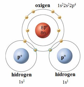 a electronilor de legătură spre nucleul atomului de oxigen, dezgolind parţial de electroni