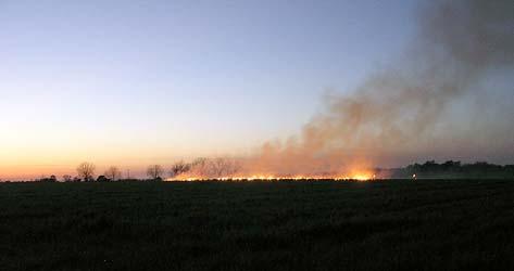 Figura CH.05.10. Ardere controlată în pregătirea terenului pentru culturile de primăvară, Statesboro, Georgia.