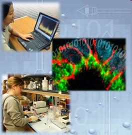 PROCESUL BIOTEHNOLOGIC Punerea la punct a unui bioproces industrial necesită o strânsă colaborare între