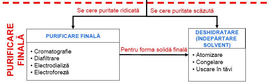 PURIFICAREA FINALA Ţine cont de cerinţele de puritate ale produsului obţinut. De regulă produsele farmaceutice (antibiotice, hormoni, etc.