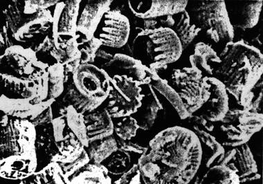 Filtrarea 229 Porozitatea de circa (80 90) % explică şi capacitatea mare de adsorbţie a impurităţilor, inclusiv a celor în emulsie (ulei sau hidrocarburi). Fig. 5.41.