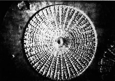 Astfel particulele de dioxid de siliciu expandate au densitate redusă. Este un adjuvant bun pentru filtrarea apei. Celuloza este utilizată sub formă de fibre de mare puritate.
