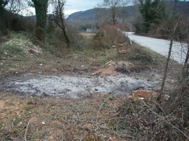 Εικόνα 4: Υπολείµµατα επικίνδυνων πλατάνων που αποξηράνθηκαν, κόπηκαν και κάηκαν επιτόπου δίπλα στην Εθνική Οδό Ιωαννίνων Ηγουµενίτσας (E92).