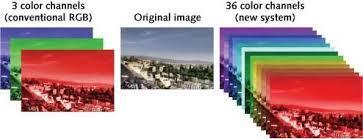 Μερικά παραδείγματα είναι: A Εικόνες εικόνες κλίμακας του γκρι grayscale,