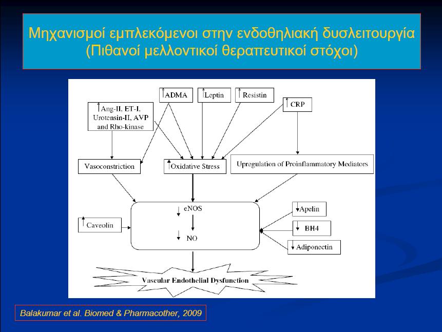 Ενδοθηλιακή δυσλειτουργία στη διαβ.