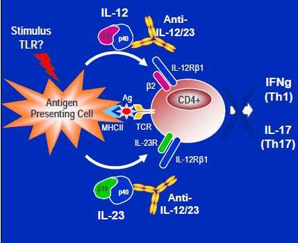 Ustekinumab