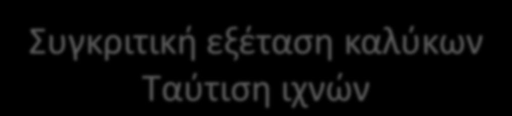 Συγκριτική