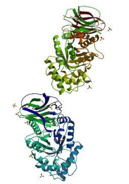PMPS ΠΡΟΗΓΜΕΝΑ ΠΡΟΪΟΝΣΑ Glucocerebrosidase Σε κεραπεία αντικατάςταςθσ ενηφμων (αςκζνεια Gaucher) Σχεδιαςμζνο από τθν εταιρία