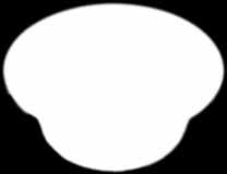 WP728 P157