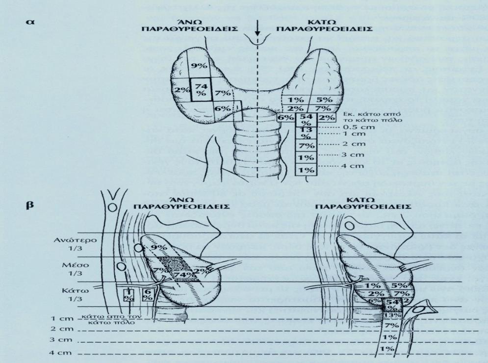16 θυρεοειδή αδένα, αντίστοιχα προς τη βάση (κάτω πόλο) του πλάγιου λοβού, β) έξω από την ινώδη κάψα του θυρεοειδή αδένα, σχεδόν πάνω στην κάτω θυρεοειδική αρτηρία, γ) μέσα στο παρέγχυμα της βάσης
