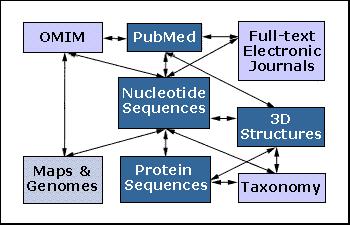 PubMed Αποτελ εί κομμάτι του
