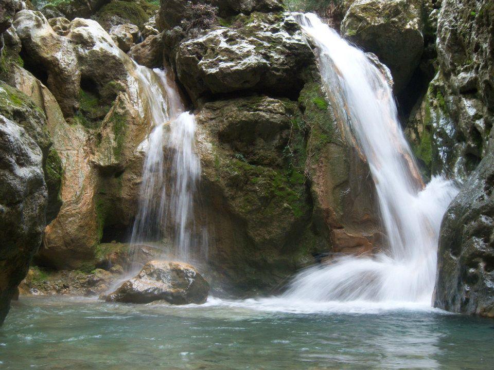 διοργάνωση θα κανονίσει να μεταφερθεί στην αφετηρία όταν καταστεί αυτό δυνατόν. Εφόσον επιθυμεί και με δική του ευθύνη, μπορεί να συνεχίσει χωρίς νούμερο την πορεία του.