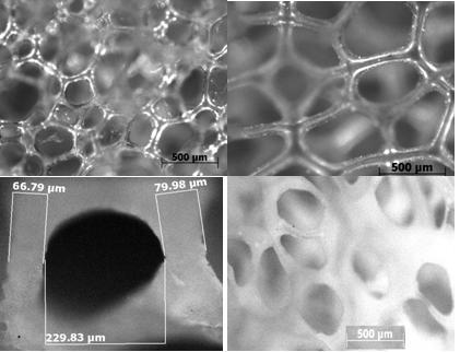 relativă: 2,7 g/cm 3 ; conţinut de Ag: 2,5...60 ppm; dimensiunea medie a nanoparticulelor de Ag: 10 nm.
