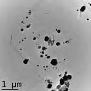 Grafene funcţionalizate cu nanoparticule de argint