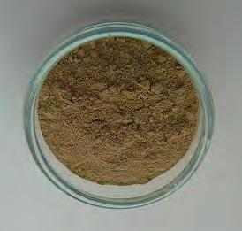 aspect: nanopulberi de culoare albă (ZnO, TiO 2 ) şi crem/maro (Ag/ZnO, Ag/TiO 2 ); conținut de