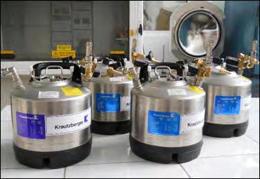 Valorile de ph măsurate sunt compensate manual sau automat în ceeace privește efectul de temperatură.