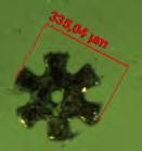 şi pentru microreductoare Membrană pentru micropompă, microscopie SEM x 100
