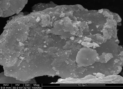 Caracteristici tehnice diametrul mediu al NpAg: 50 nm; diametrul mediu Fisher al pulberii NpAg/MpAg, D FSSS = 1,1 μm; diametrul maxim al pulberii NpAg/MpAg: 32 μm; densitatea aparentă a pulberii
