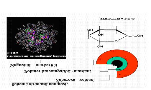 Compozit magnetic tip magnetită-zaharidă pentru diagnosticul tumorilor maligne (BIOMAG) Descriere BIOMAG este un compozit magnetic: magnetită zaharidă încapsulat în polimer biocompatibil, cu