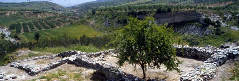 Νεολιθική περίοδος στην Θεσσαλία - Αρχιτεκτονική - Στην