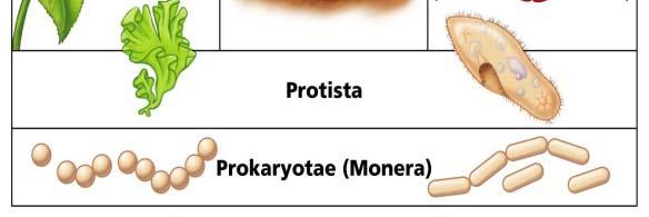 Χρόνια) Χρόνος