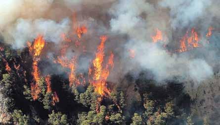 Διαπεριφερειακά 16 23 Ιουνίου 2017 ΣΥΜΒΟΥΛΟΣ ΕΠΙΧΕΙΡΗΣΕΩΝ > ΑΓΡΙΝΙΟ: Ολοκληρώθηκε η διαβούλευση επί της διαχειριστικής μελέτης για την ανάπλαση του Παπαστρατείου Δημοτικού Πάρκου Αγρινίου.