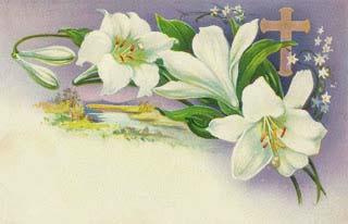 GOSPEL Sunday of the Paralytic The Reading is from John 5:1-15 At that time, Jesus went up to Jerusalem.