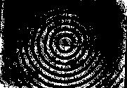 îndepărate de ona A, sub forma unor unde de tip gravitaţional. Forma suprafeţelor de undă apare, în caul unui vibrator lung, ca a unei succesiuni de drepte paralele, aşa cum se observă în Fig. a. Dacă perturbaţia lichidului se face într-un singur punct, undele obţinute vor fi circulare (Fig.