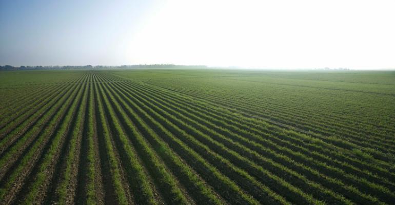 ΣΥΝΕΠΕΙΕΣ ΤΗΣ «ΚΛΙΜΑΤΙΚΗΣ ΑΛΛΑΓΗΣ» ΣΤΗ ΓΕΩΡΓΙΑ Μείωση γεωργικής παραγωγικότητας Ακραία καιρικά φαινόμενα Ξηρασίες