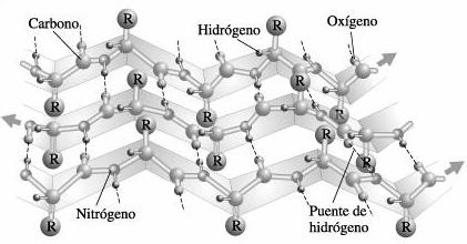 PROTEÍNAS: ESTRUTURA ESTRUTURA