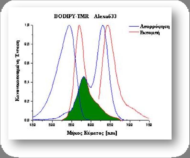 ΑΠΟΤΕΛΕΣΜΑΤΑ FRET Ακολούθησε in vitro μεταγραφή και μετάφραση ώστε να συντεθεί η πρωτεΐνη GFPem.