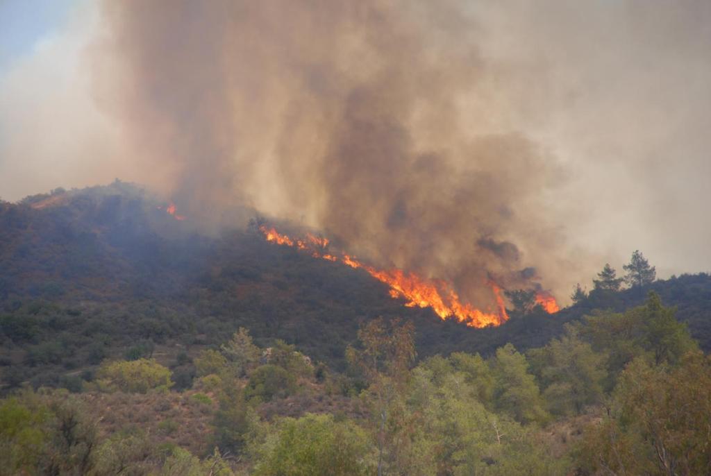 Αξιολόγηση/Ρύθμιση Χρήσεων Γης - Πυρκαγιές Καψαλίσματα Πηγή: