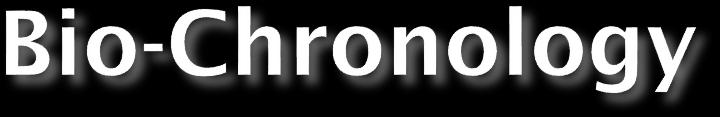 middle-late Turolian elements: Promeles
