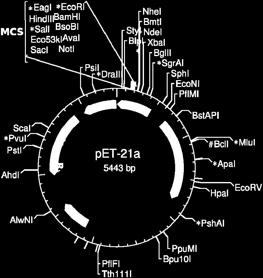 352 Biologie moleculară. Metode experimentale A B FIGURA A5.