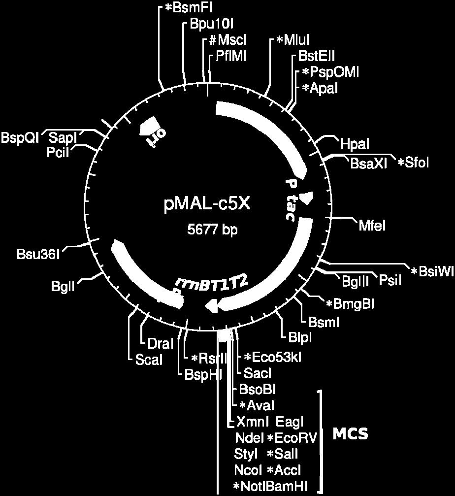 Anexă 353 A B FIGURA A6.