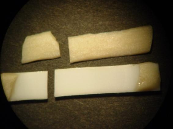 (α) ρωγμή στην επιφάνεια δοκιμίου με επίστρωση στρώματος SiO 2, (β) ρωγμή με απόσπαση τμήματος αισθητικού υλικού χωρίς αποφλοίωσή του σε δοκίμιο με τοποθέτηση