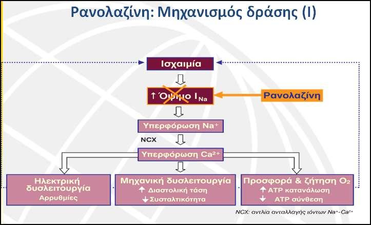 ΜΗΧΑΝΙΜΟ ΔΡΑΗ ΡΑΝΟΛΑΖΙΝΗ 0