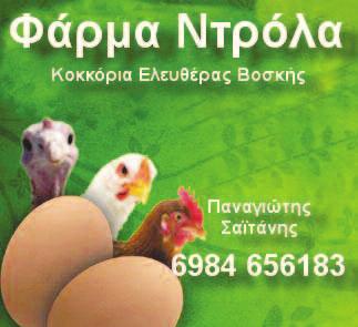 Ποιες αποδείξεις αναγνωρίζει η Εφορία για τα εισοδήματα του 2011 Οι δαπάνες με αποδείξεις χωρίζονται σε δυο κατηγορίες: 1.