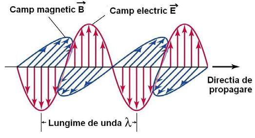 Noţiuni fundamentale de optică ondulatorie. Acţiunea biologică a radiaţiilor UV, V şi IR.