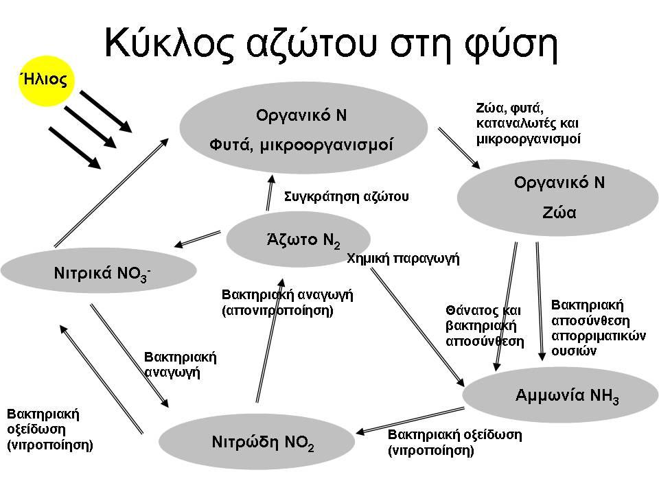 2. Συχνά ανευρίσκονται στο επιφανειακό ή υπόγειο νερό βαρέα μέταλλα όπως σίδηρος, μαγγάνιο και χαλκός.