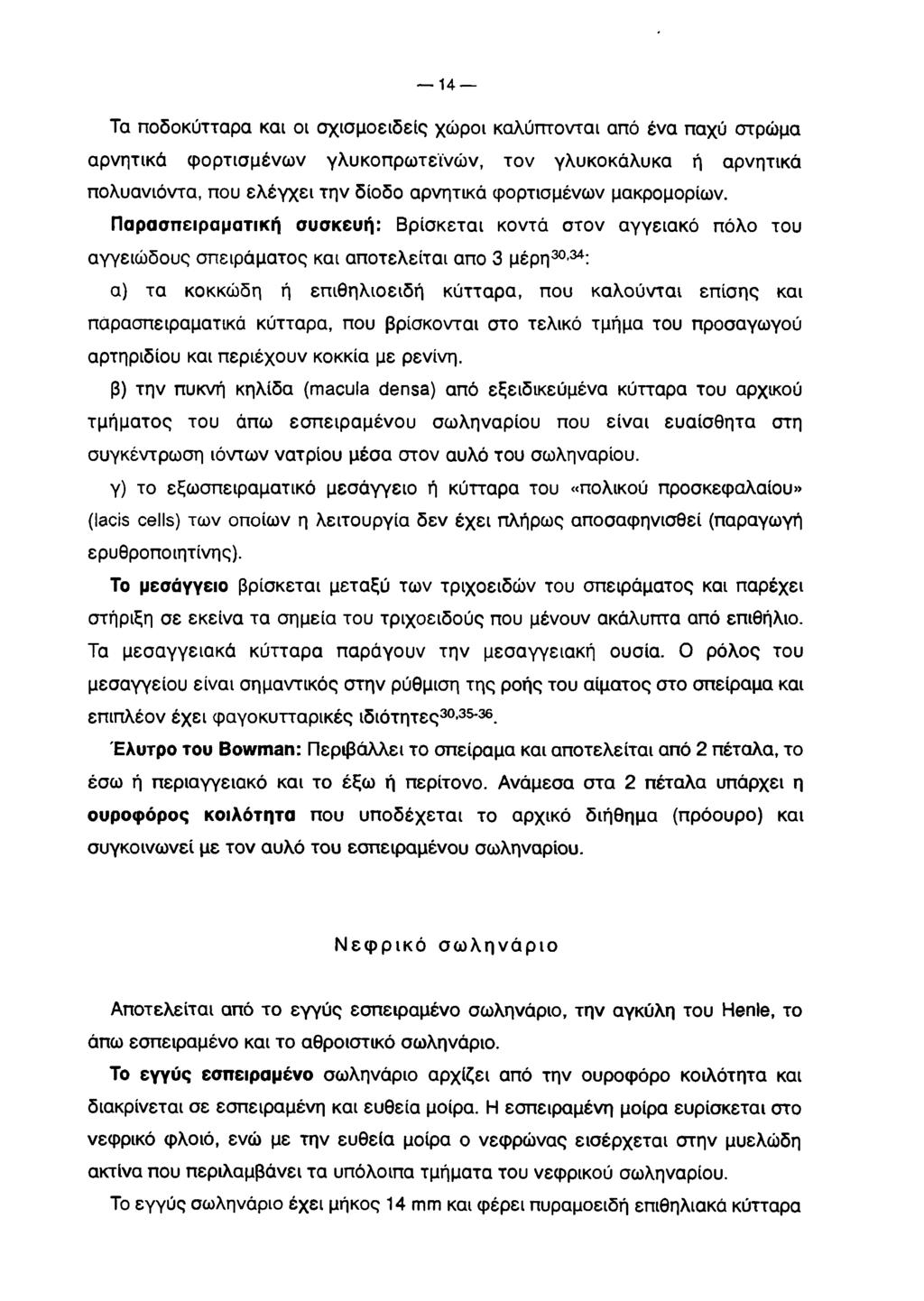 - Η - Τα ποδοκύτταρα και οι σχισμοειδείς χώροι καλύπτονται από ένα παχύ στρώμα αρνητικά φορτισμένων γλυκοπρωτεϊνών, τον γλυκοκάλυκα ή αρνητικά πολυανιόντα, που ελέγχει την δίοδο αρνητικά φορτισμένων