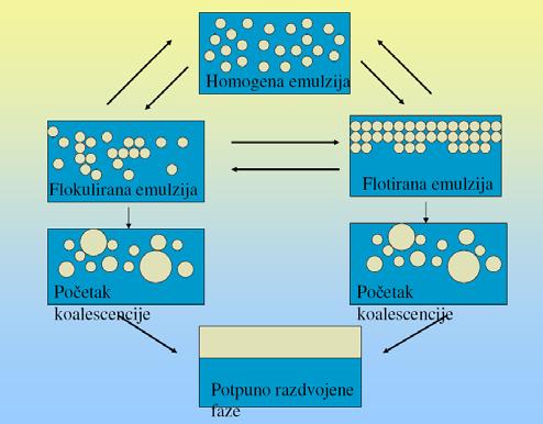 Nestabilnost emulzija Nestabilnost emulzija: Sedimentacija i vrhnjenje posljedica su nepodudaranja u gustoći faza emulzije nisu nužno povezani s agregacijom generalno se ne razmatraju kao
