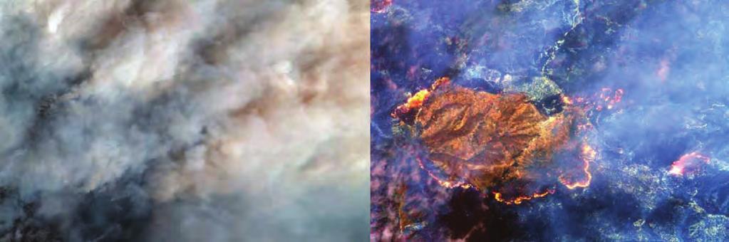 (Multispectral bands): Coastal Blue, Red, Green, Blue, Red Edge, Near Infrared 1, Near Infrared 2,
