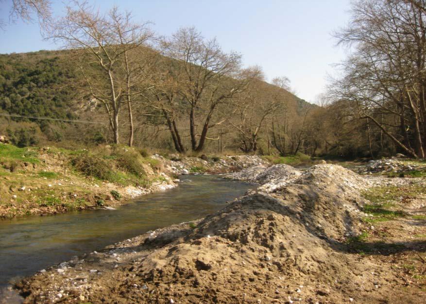 παρόχθια βλάστηση, κυρίως από βάτα (Rubus fruticosis), ενώ αντίθετα η δεξιά έχει απομακρυνθεί από το δάσος και χαρακτηρίζεται από αρκετή παρόχθια βλάστηση (Εικόνα 3.1.1.2).