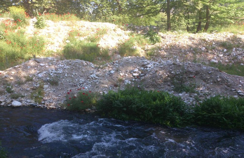 Εικόνα 1 & Εικόνα 2: Ποτάμιες