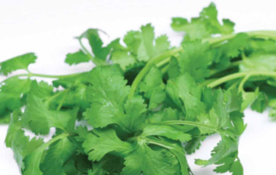 Patentirane tehnologije icook posode za kuhanje*, vam omogoëajo, da si ustvarite obroke polne snovi, ki jih je v pridelkih ustvarila narava.