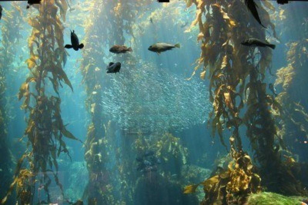 ΕΘΝΙΚΟ ΜΕΤΣΟΒΙΟ ΠΟΛΥΤΕΧΝΕΙΟ ΤΜΗΜΑ ΧΗΜΙΚΩΝ ΜΗΧΑΝΙΚΩΝ ΤΟΜΕΑΣ ΣΥΝΘΕΣΗΣ