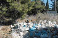 «ΟΙ ΚΥΡΙΟΤΕΡΕΣ ΔΑΣΙΚΕΣ ΠΑΡΑΒΑΣΕΙΣ ΑΠΟ ΝΟΜΙΚΗ ΚΑΙ ΔΑΣΟΠΟΛΙΤΙΚΗ ΑΠΟΨΗ